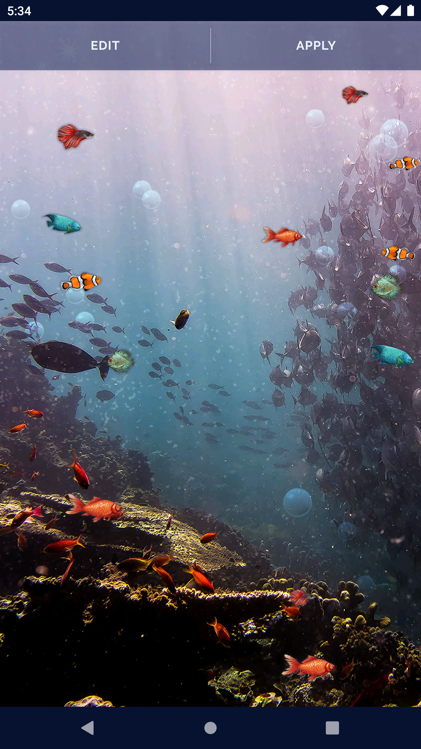 Ocean Fish Live Wallpaper 4K screenshot