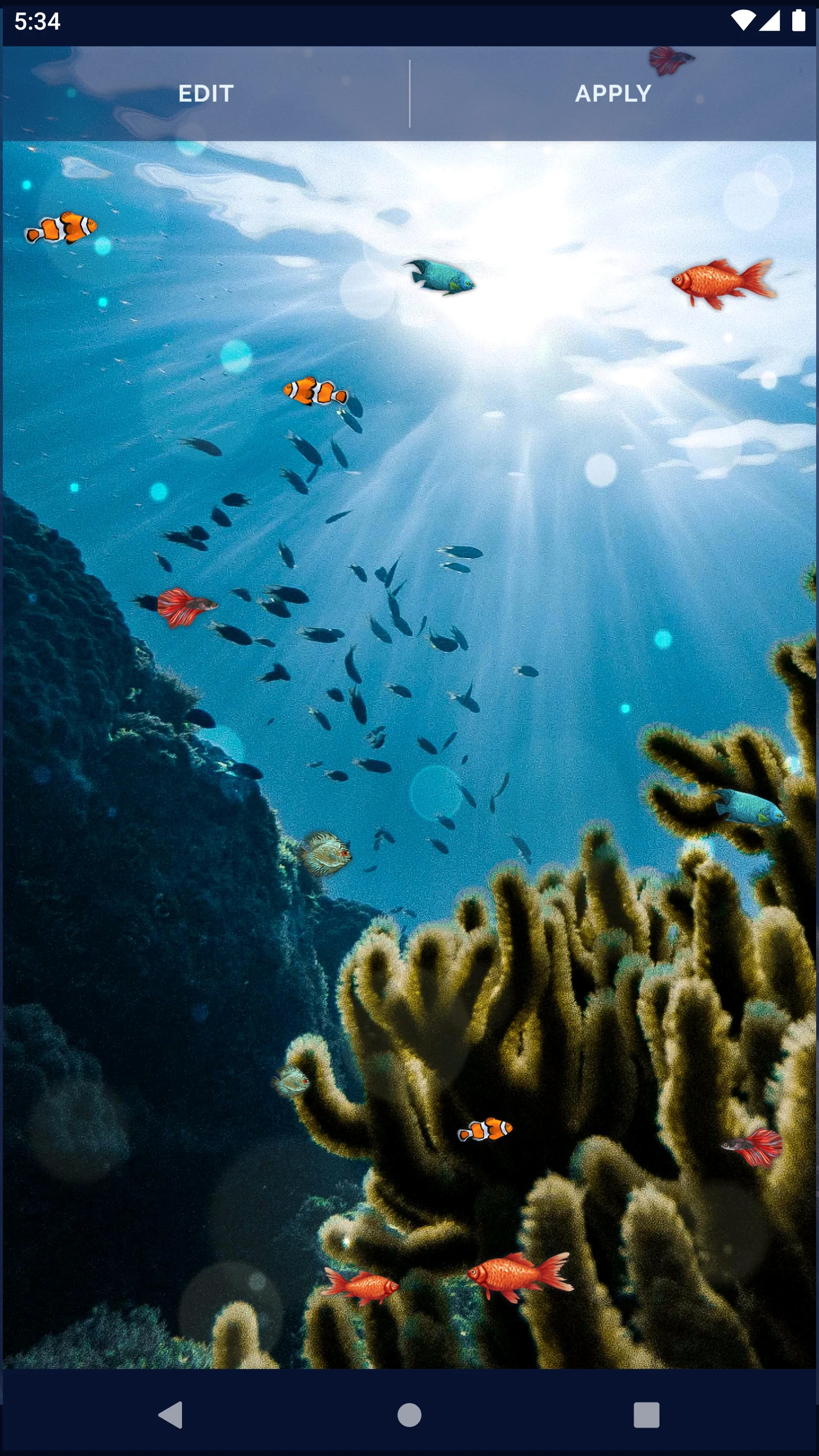 Ocean Fish Live Wallpaper 4K screenshot