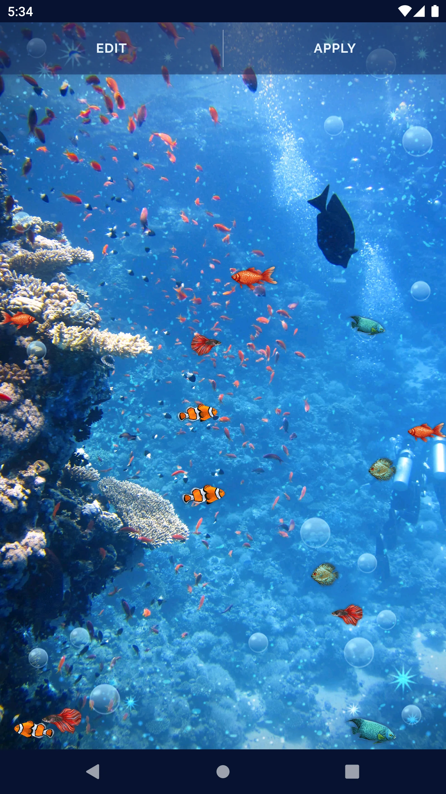 Ocean Fish Live Wallpaper 4K screenshot